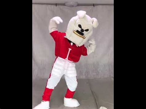 Georgia mascot hairy dawg